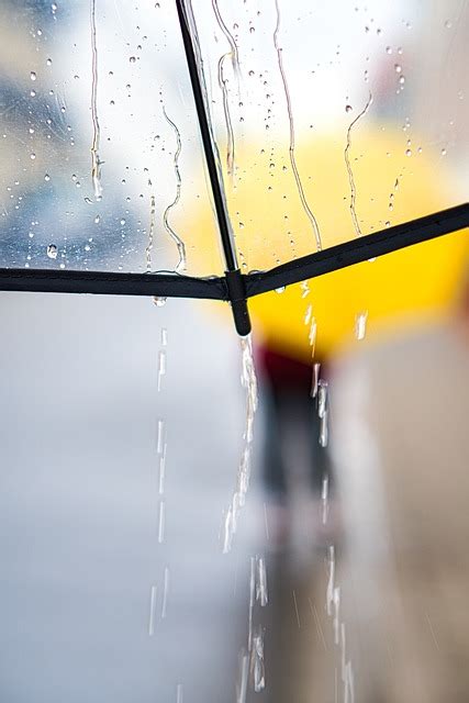 雨天圖片|超过 400 张关于“下雨天”和“雨”的免费图片